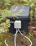 Storage case used as an
                enclosure in the Peatland Bogs network, Minnesota